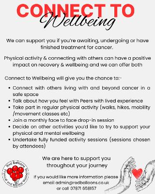 Logo for Connect to Wellbeing with Red Balloons